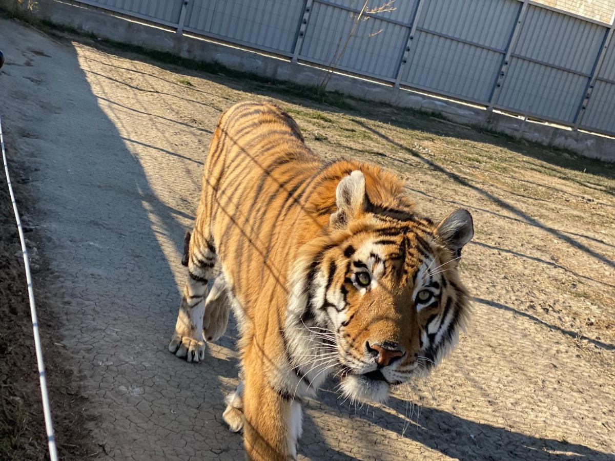 فندق Zoo Misic Prenociste فرانيي المظهر الخارجي الصورة